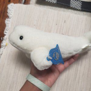 seaworld beluga whale plush  with sea world tag
